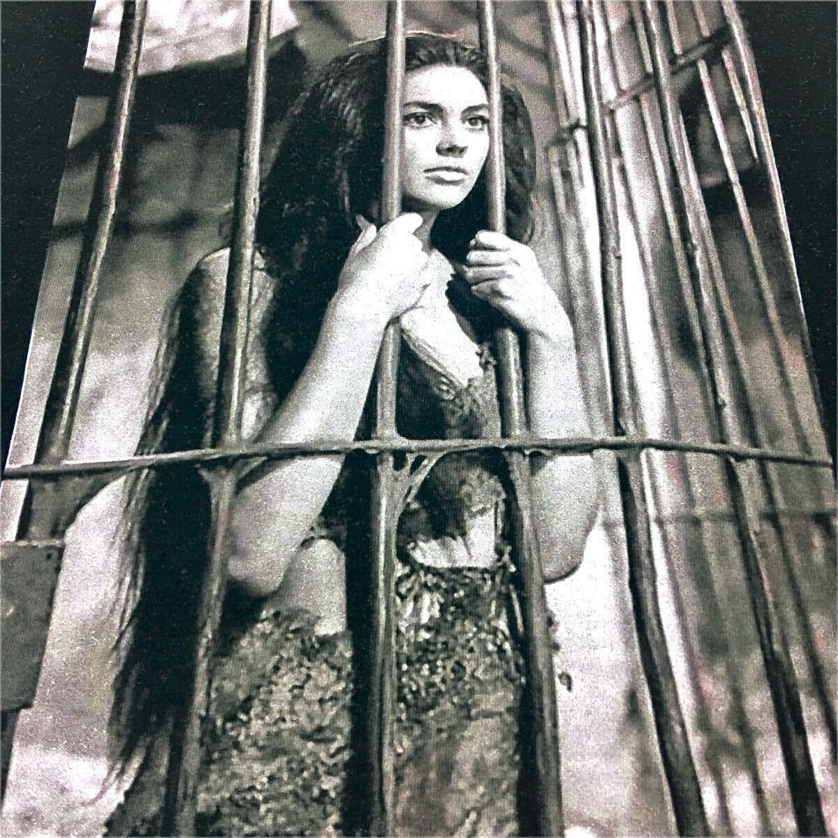 新品 猿の惑星 Planet of the Apes エイプ 1968年クラシック映画 ヒロイン 人間奴隷 ノヴァ リンダハンソン Tシャツ ユニセックス Lサイズ_画像7