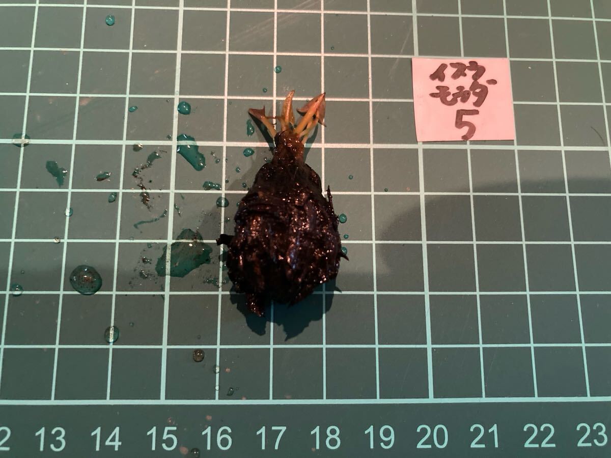 item_image_3