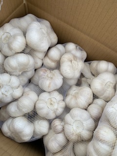 青森県 乾燥にんにく5KgML