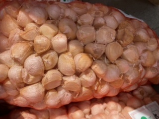 青森県 　バラにんにく5Kg ML 早い者勝ち