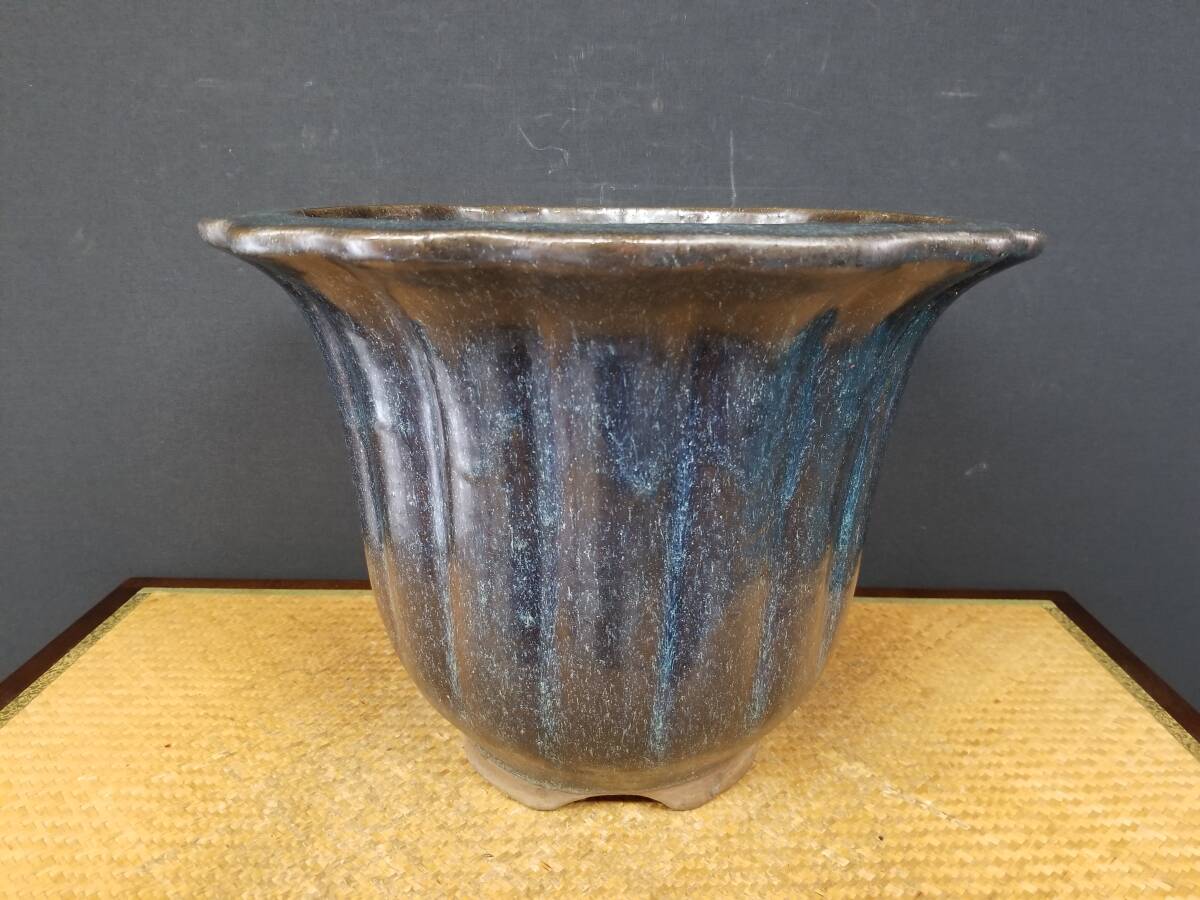 ◇盆栽幸◇外縁花形鉢◇中国鉢◇左右:36.5cmE-C(鉢)|売買され ◇盆栽幸◇外縁花形鉢◇中国鉢◇左右:36.5cmE-C(鉢)|売買され