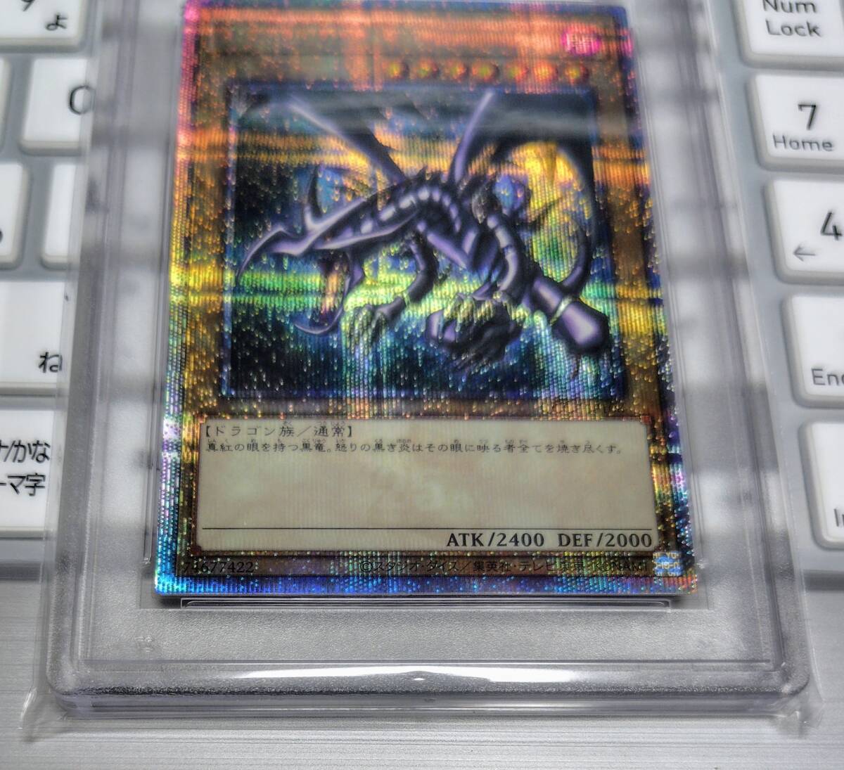 遊戯王 真紅眼の黒竜(QCCP-JP108)25th シークレットレア PSA10 遊戯王 真紅眼の黒竜(QCCP-JP108)25th シークレットレア PSA10