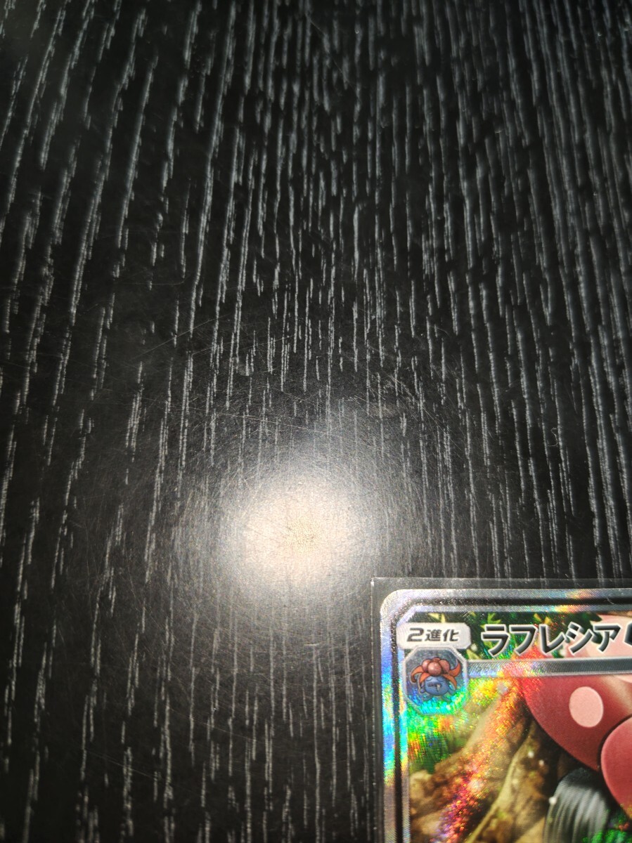 1円スタート 比較的美品(当方主観) ポケモンカード ラフレシアGX 1円スタート 比較的美品(当方主観) ポケモンカード ラフレシアGX
