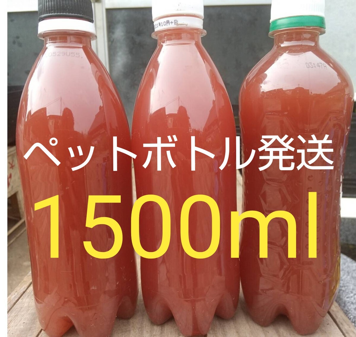 PSB (光合成細(xì)菌) 1500ml。 ペットボトル発送。めだか ゾウリムシ 金魚 ミジンコ メダカ らんちゅう