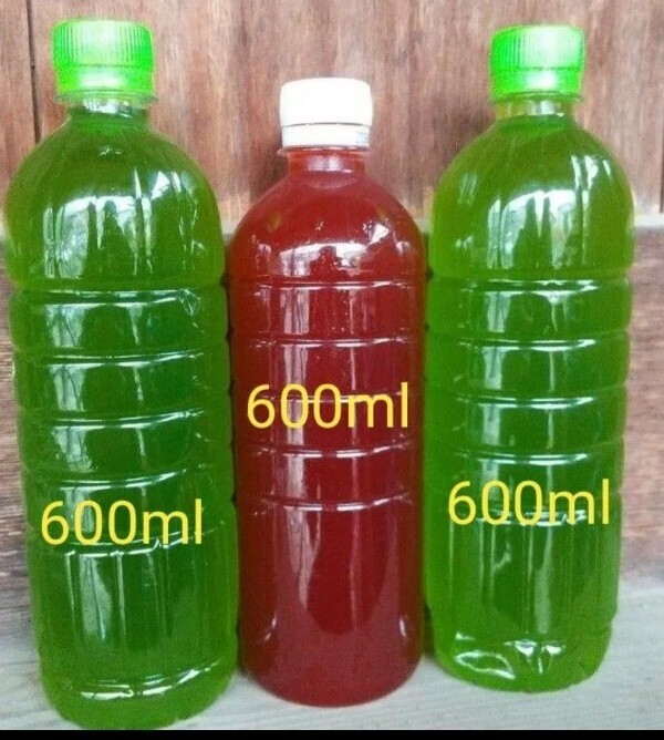 天然　グリーンウォーター(青水.種水)1200ml&　PSB(光合成細(xì)菌)600ml メダカ ゾウリムシ ミジンコ めだか