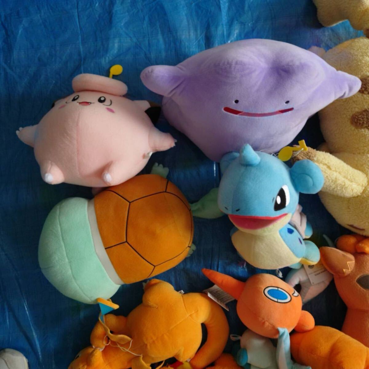 ポケモン ぬいぐるみ まとめ売り ポケモンセンター 160サイズ ポケモン ぬいぐるみ まとめ売り ポケモンセンター 160サイズ
