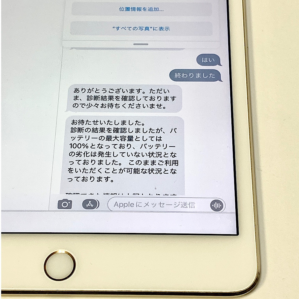 4/9にバッテリー新品交換 iPad mini 4 7 9インチ 128GB ゴールド 4/9にバッテリー新品交換 iPad mini 4 7 9インチ 128GB ゴールド