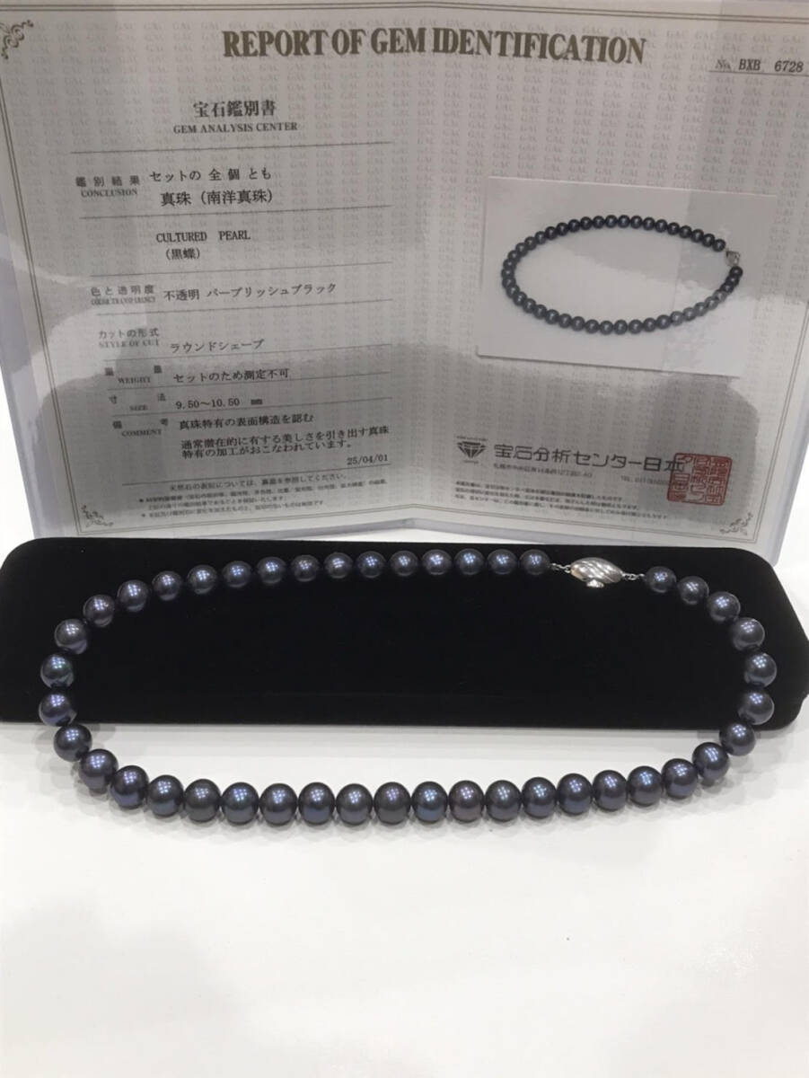 鑑別書付き 南洋黑真珠