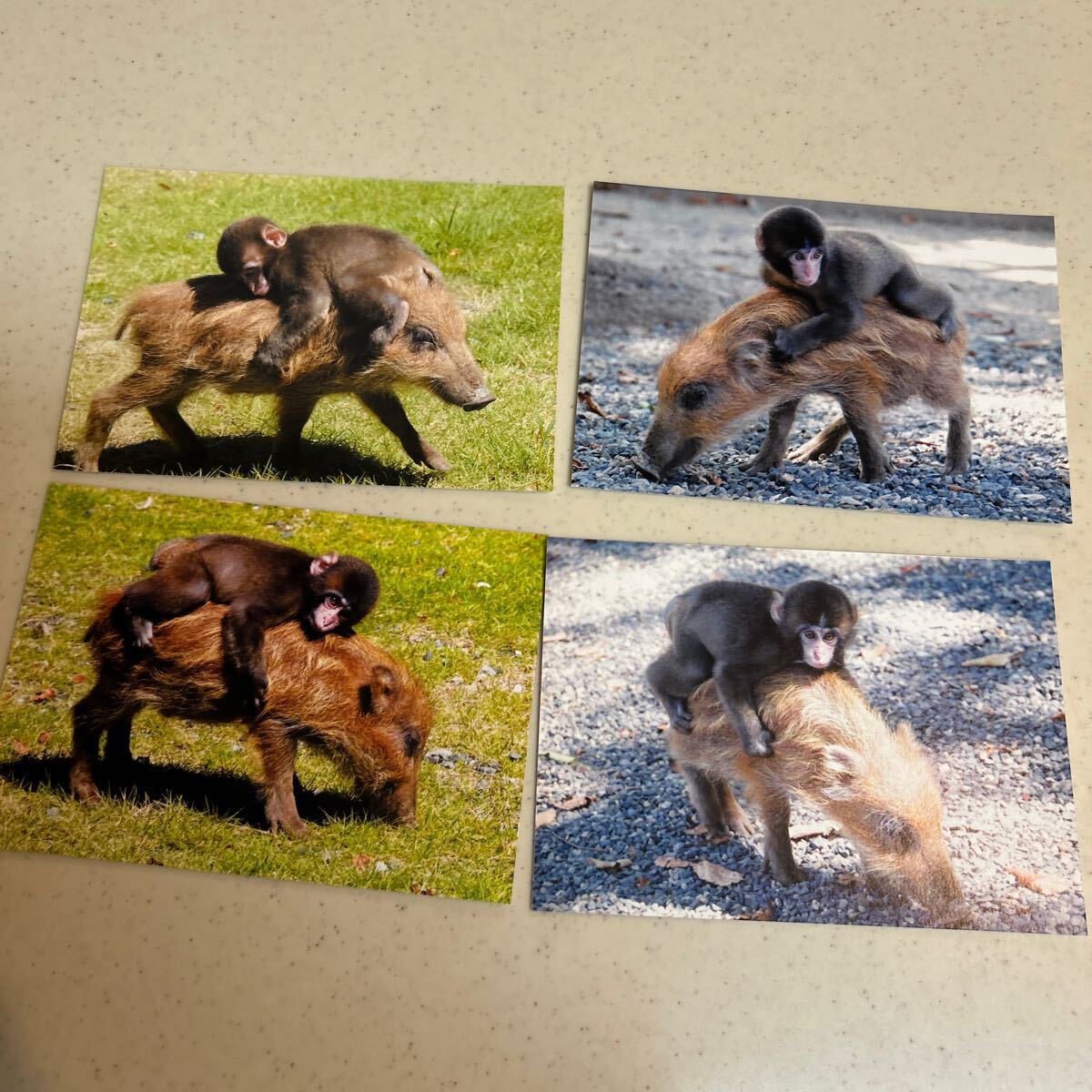 item_image_4