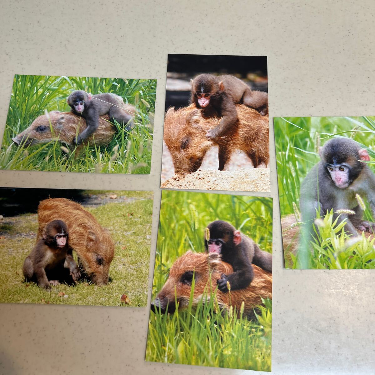 item_image_5