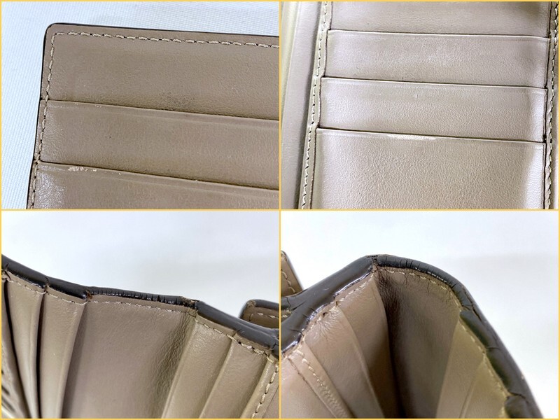 FENDI 8M0308 ピーカブ 長財布 レザー グレージュ べっ甲柄 FENDI 8M0308 ピーカブ 長財布 レザー グレージュ べっ甲柄