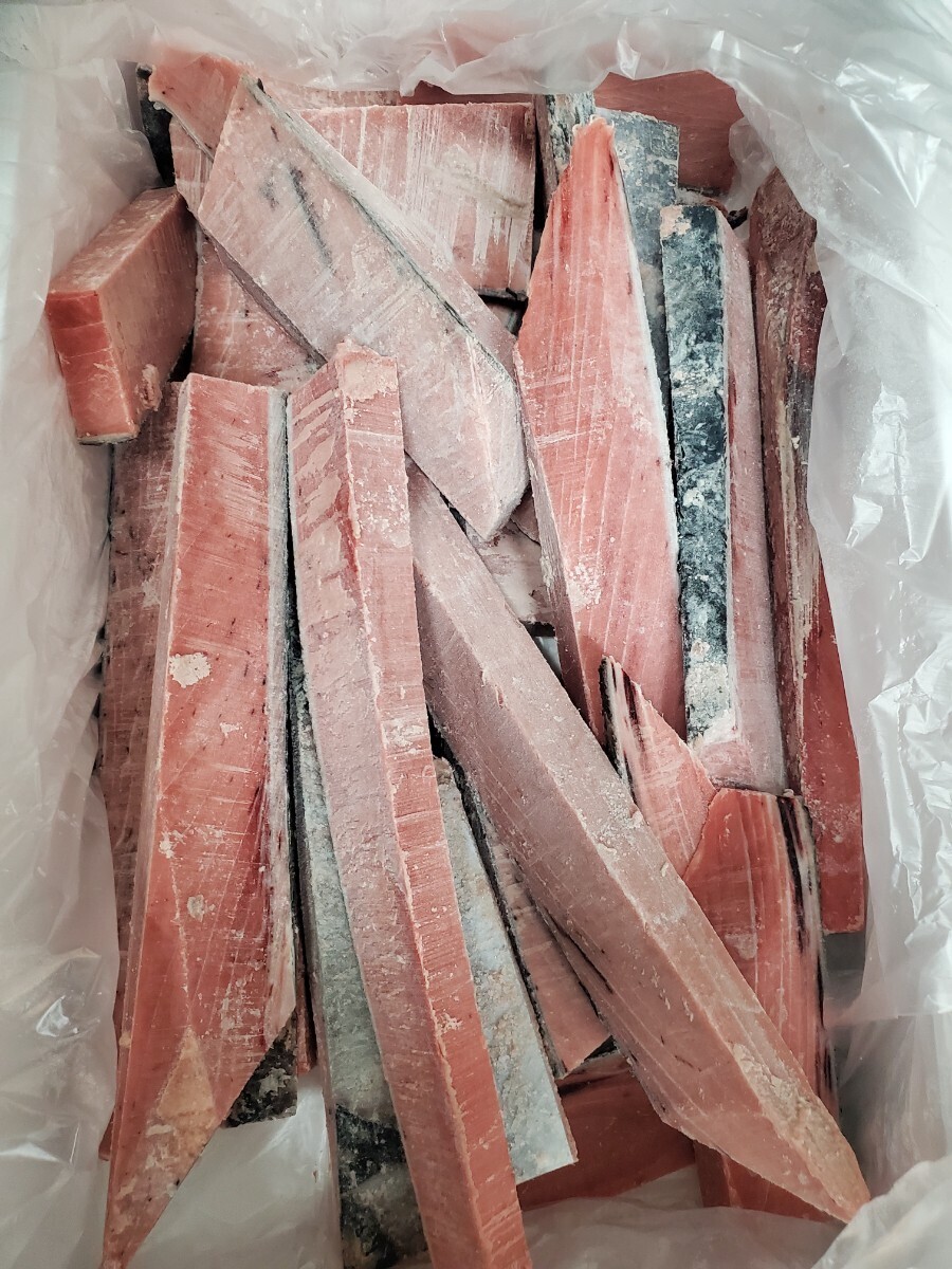 ミナミマグロ中トロさく2キロ位。