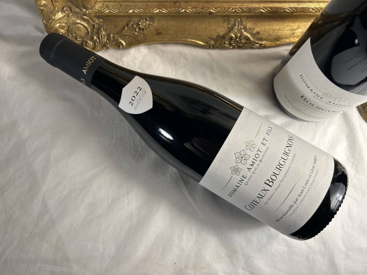 伸びやかな酸とのバランスが心地よい モレ?サン?ドニの地に5世代続く名家 ドメーヌ?アミオ?エ?フィス2022コトー?ブルギニヨン50.50