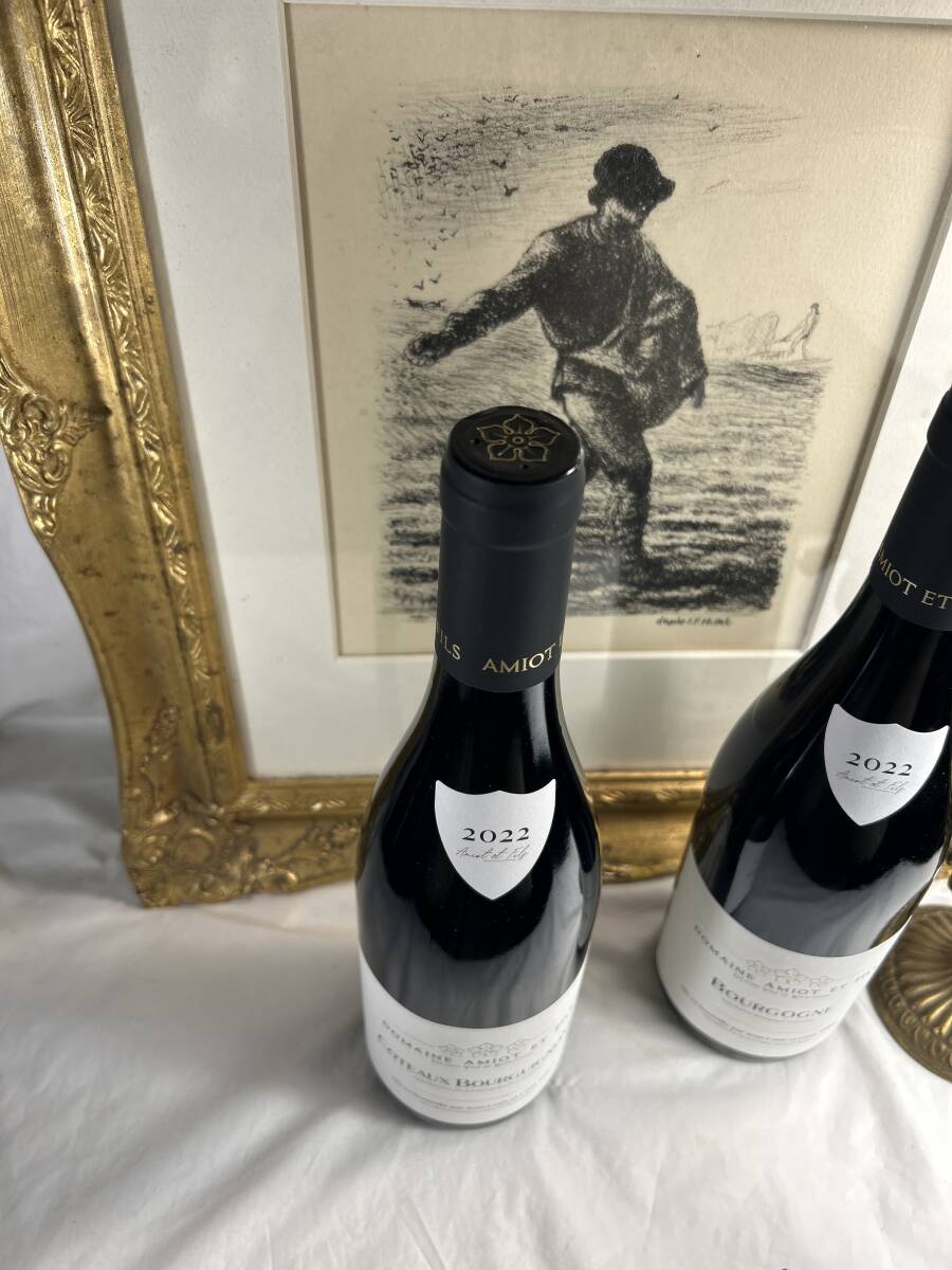 伸びやかな酸とのバランスが心地よい モレ?サン?ドニの地に5世代続く名家 ドメーヌ?アミオ?エ?フィス2022コトー?ブルギニヨン50.50