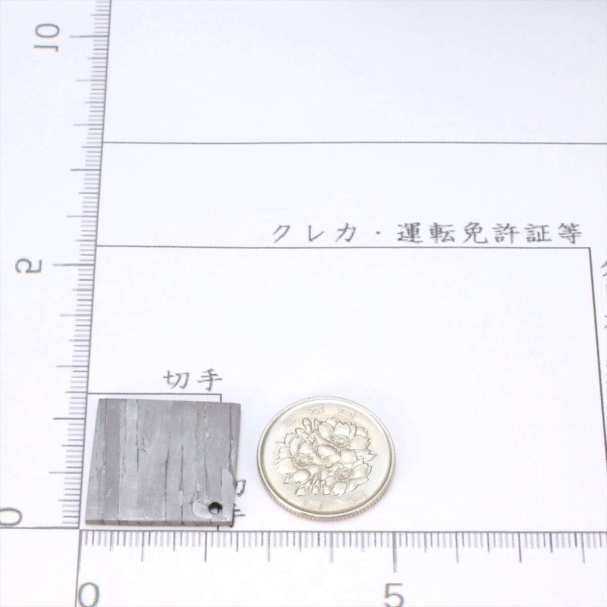 セイムチャン 隕石 8 3g パラサイト ネックレス ペンダント セイムチャン 隕石 8 3g パラサイト ネックレス ペンダント
