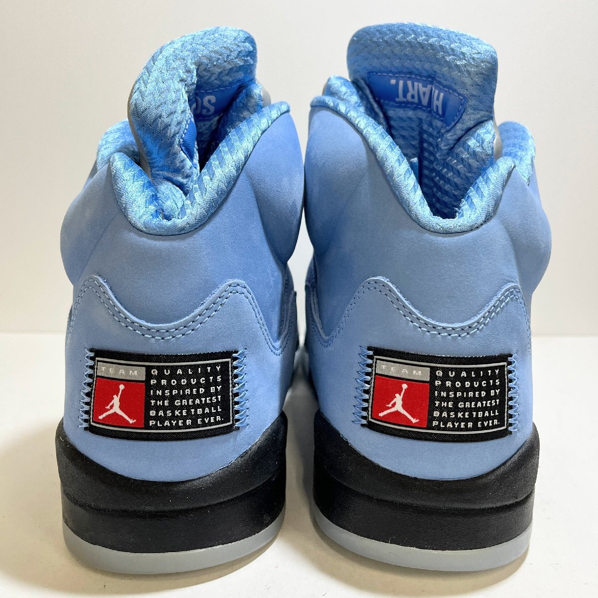 30cm AIR JORDAN 5 RETRO SE DV1310-401 エア ジョーダン 5 30cm AIR JORDAN 5 RETRO SE DV1310-401 エア ジョーダン 5