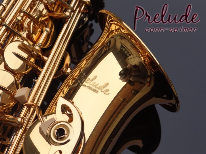 米 セルマー アルトサックス Prelude-by Selmer AS710 国内にて 米 セルマー アルトサックス Prelude-by Selmer AS710 国内にて