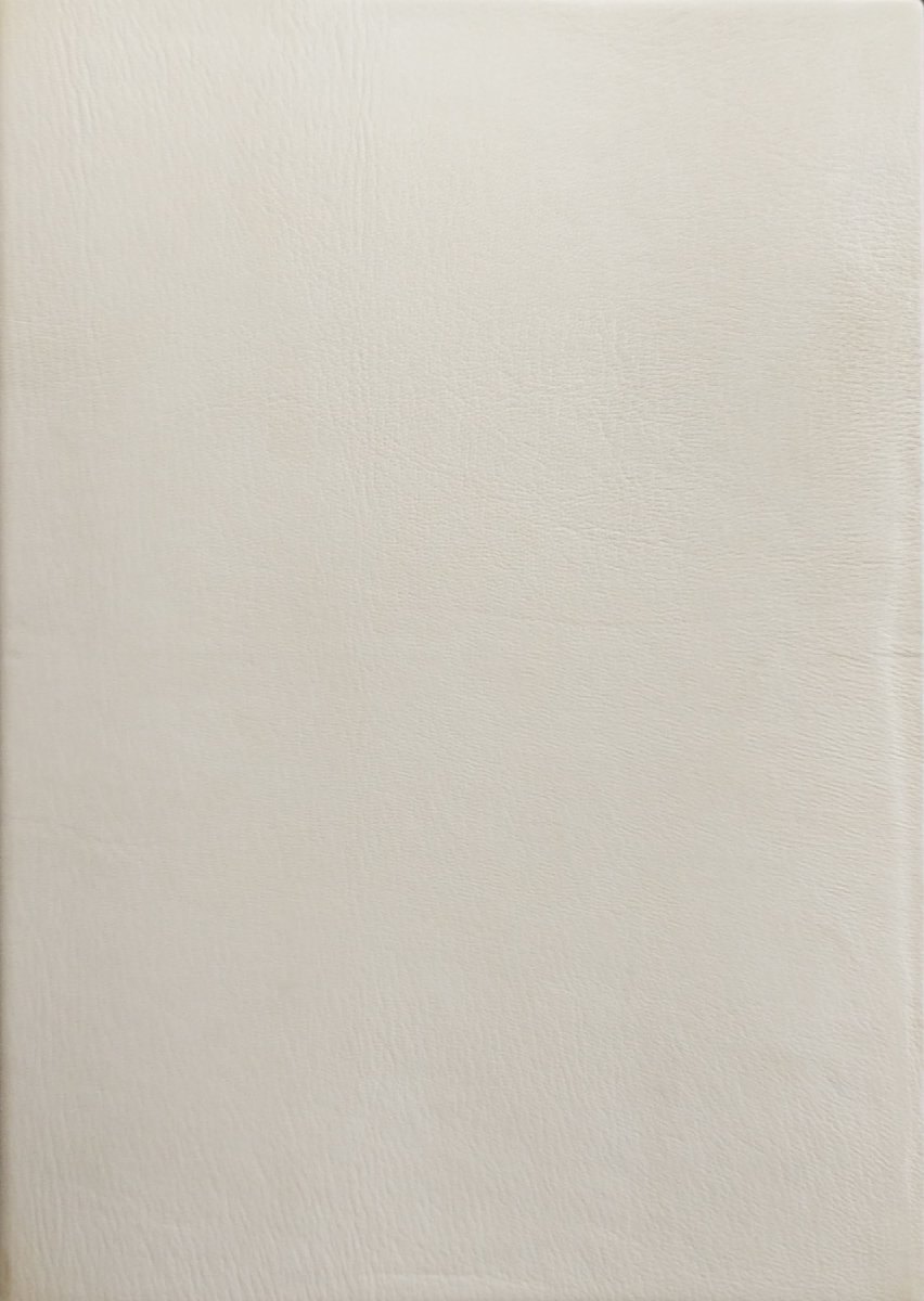 お部屋のインテリアに リトグラフ版画 吉原英雄 白いとまり木 版画