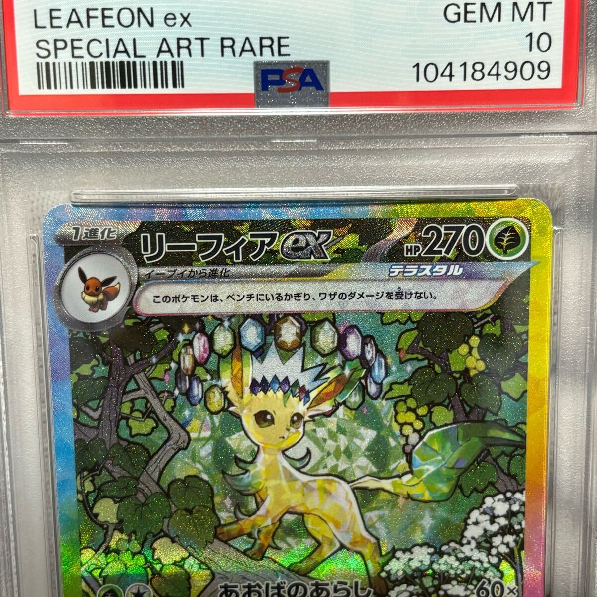 PSA10 ポケモンカード リーフィア ex sar テラスタルフェスex PSA10 ポケモンカード リーフィア ex sar テラスタルフェスex