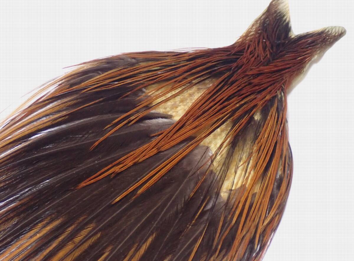 【ホワイティングなど】 コックネック?ハックルをまとめて (中古品)