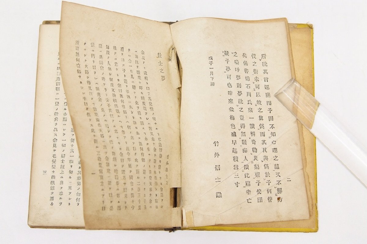 壮士之夢 竹外居士(山崎勇之助)著 明治21年 発行者:石川傳吉(難 壮士之夢 竹外居士(山崎勇之助)著 明治21年 発行者:石川傳吉(難