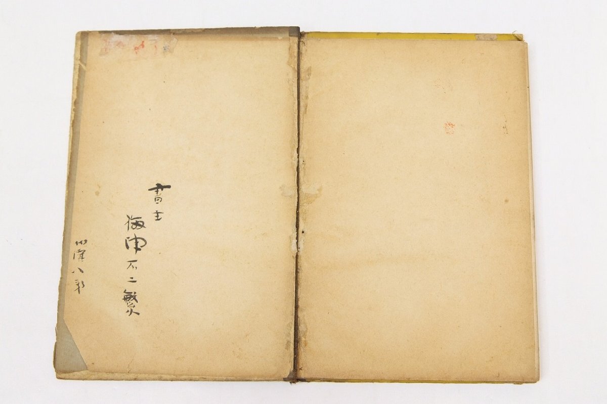 壮士之夢 竹外居士(山崎勇之助)著 明治21年 発行者:石川傳吉(難 壮士之夢 竹外居士(山崎勇之助)著 明治21年 発行者:石川傳吉(難