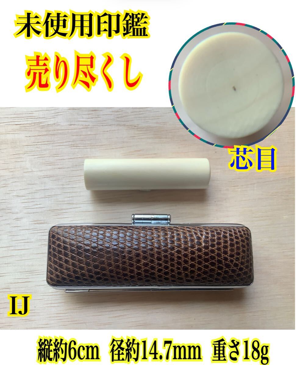 IJ ◇未使用品 未彫刻 象牙風 象牙調 象牙色 レトロ マンモス牙 IJ ◇未使用品 未彫刻 象牙風 象牙調 象牙色 レトロ マンモス牙
