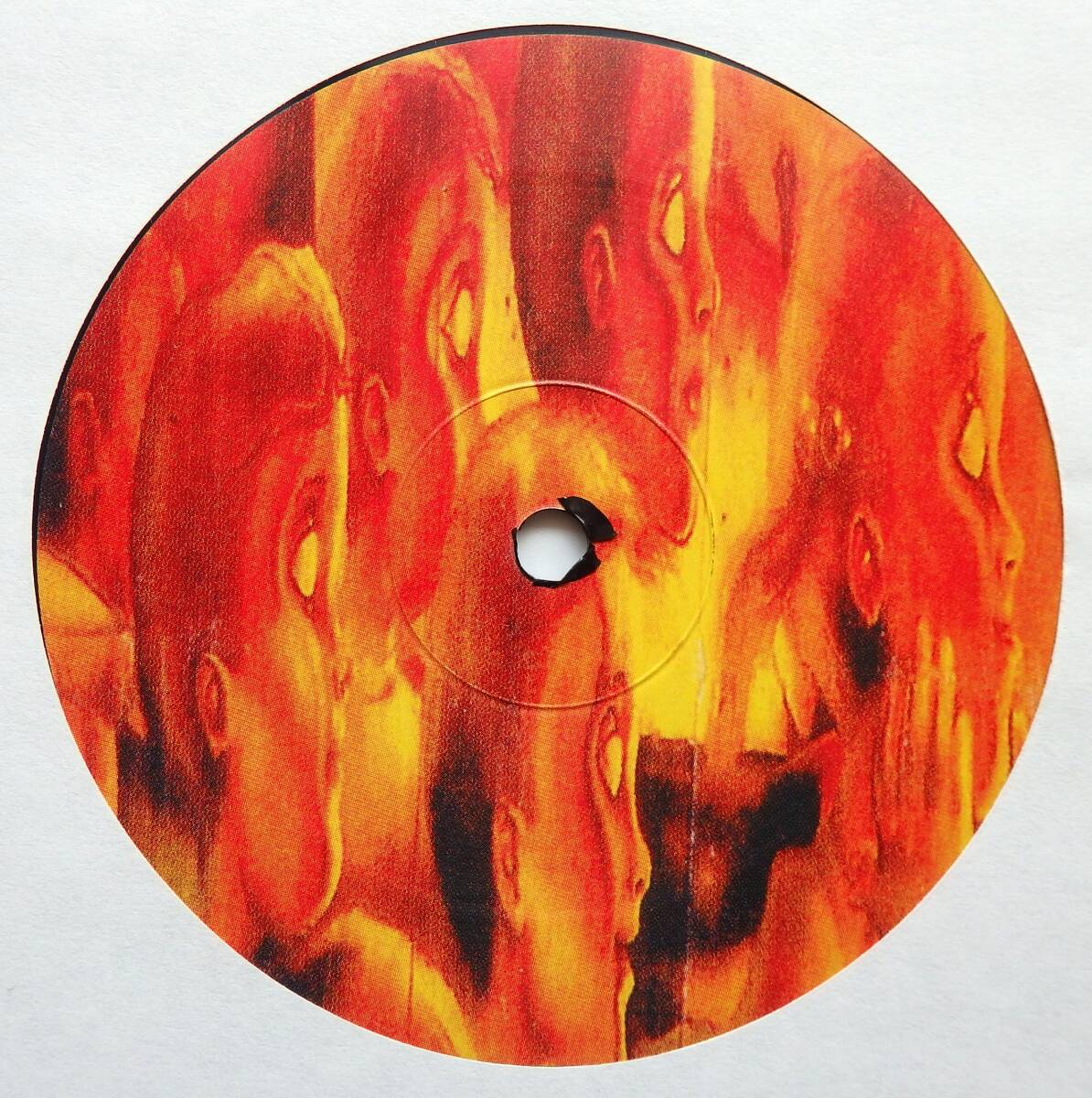 【USオールドスクールグラインドコア 2LP 33曲収録 限定プレス盤】 ABERRANT / Complete Grindworks 2010
