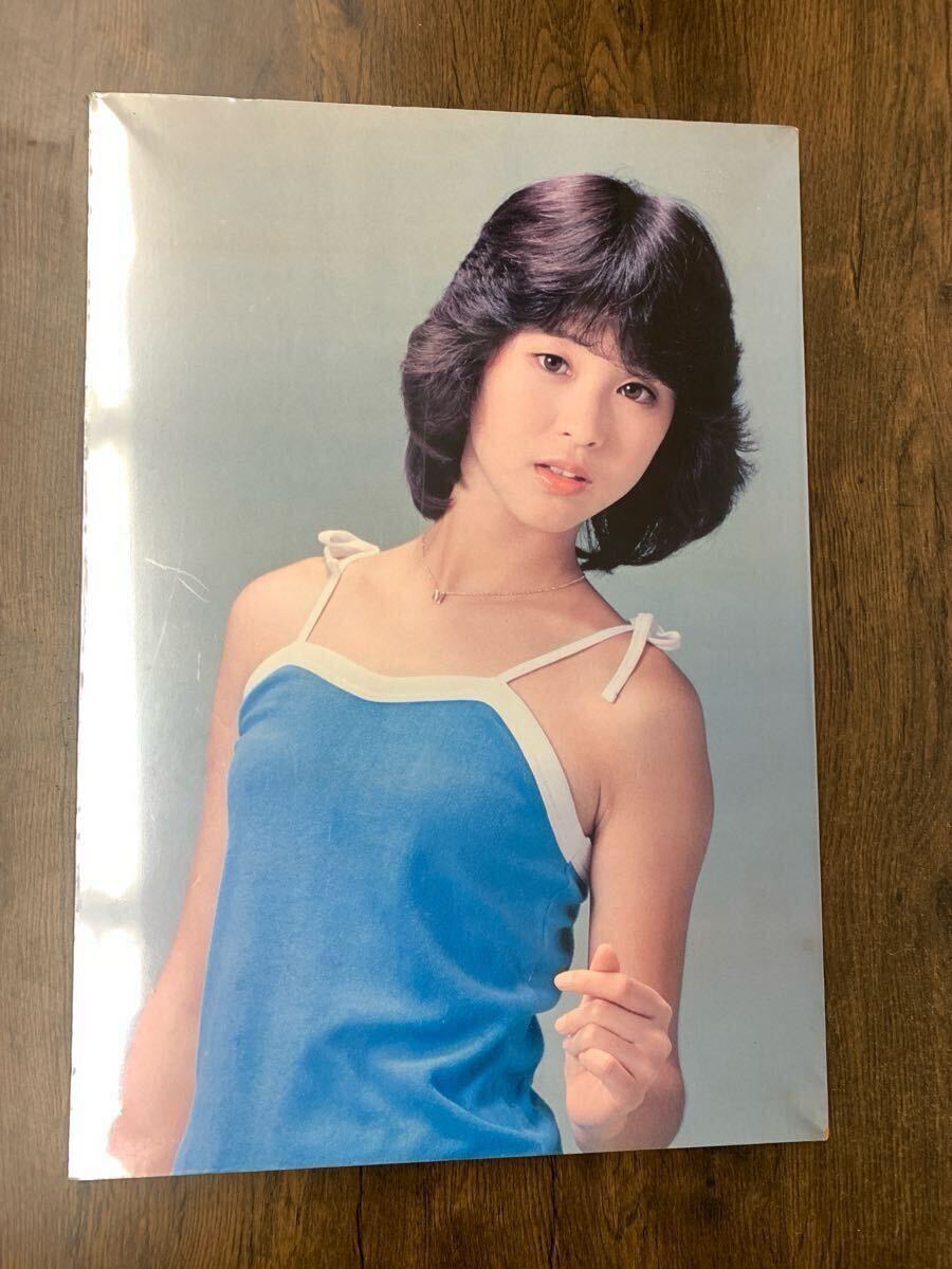 松田圣子 木制パネル ポスター パネル看板 保護(hù)ビニール付 當(dāng)時(shí)物 昭和レトロ 昭和アイドル タレントグッズ 希少