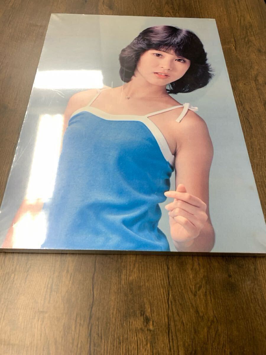 松田圣子 木制パネル ポスター パネル看板 保護(hù)ビニール付 當(dāng)時(shí)物 昭和レトロ 昭和アイドル タレントグッズ 希少