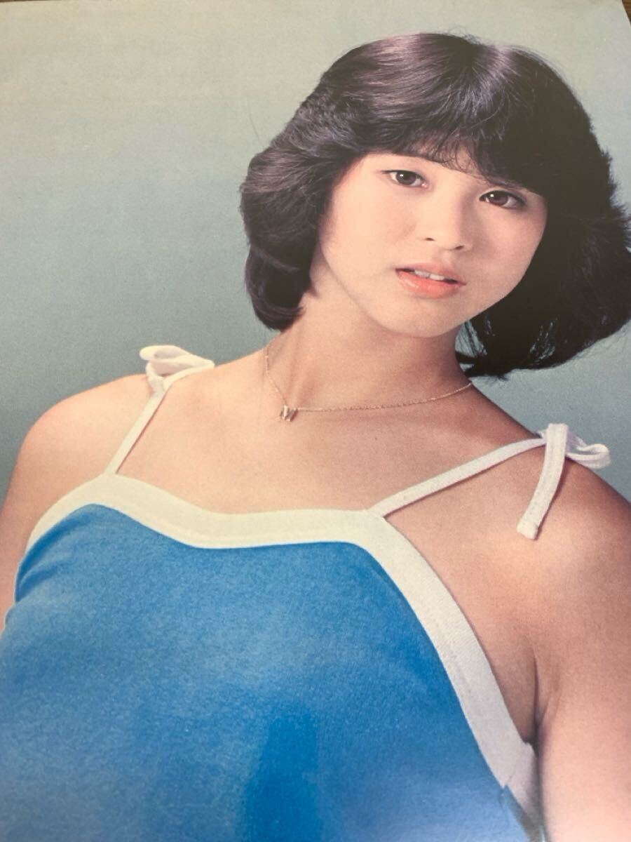 松田圣子 木制パネル ポスター パネル看板 保護(hù)ビニール付 當(dāng)時(shí)物 昭和レトロ 昭和アイドル タレントグッズ 希少