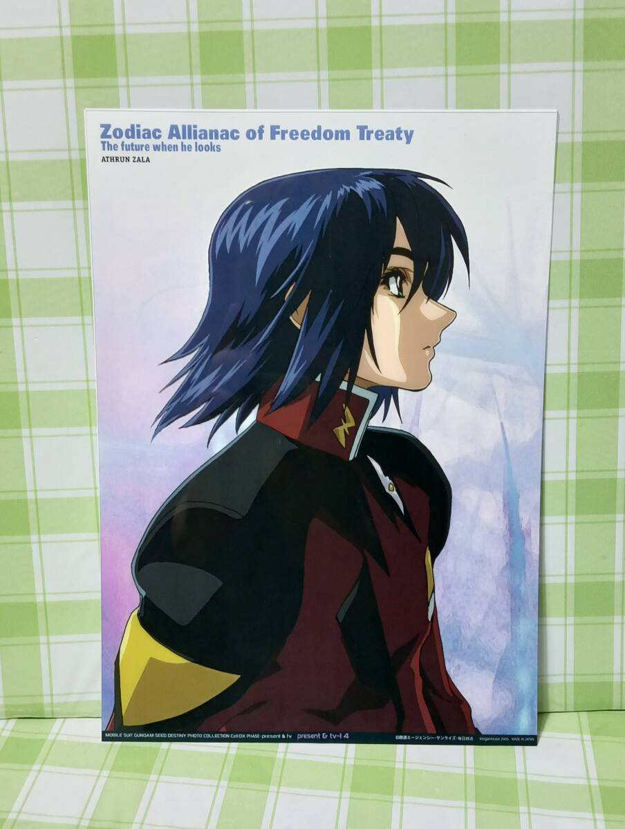 メガハウス 機動戦士ガンダムSEED DESTINY フォトコレクション メガハウス 機動戦士ガンダムSEED DESTINY フォトコレクション