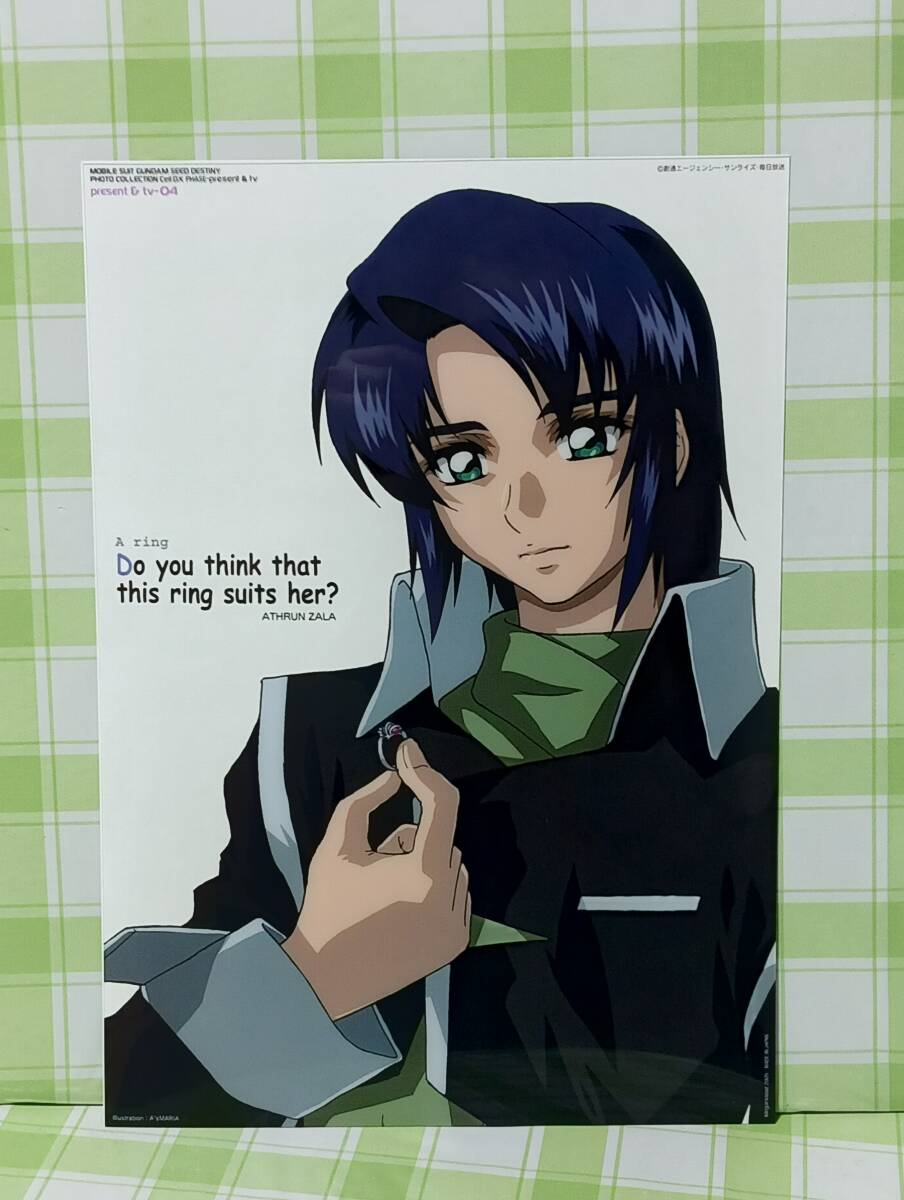 メガハウス 機動戦士ガンダムSEED DESTINY フォトコレクション メガハウス 機動戦士ガンダムSEED DESTINY フォトコレクション
