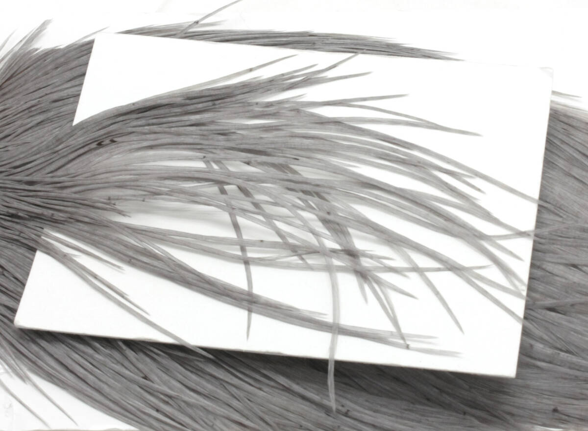  бесплатная доставка # whity ng medium большой do Dan bronze комплектация кок шея - kru использование нет ~ немного Whiting