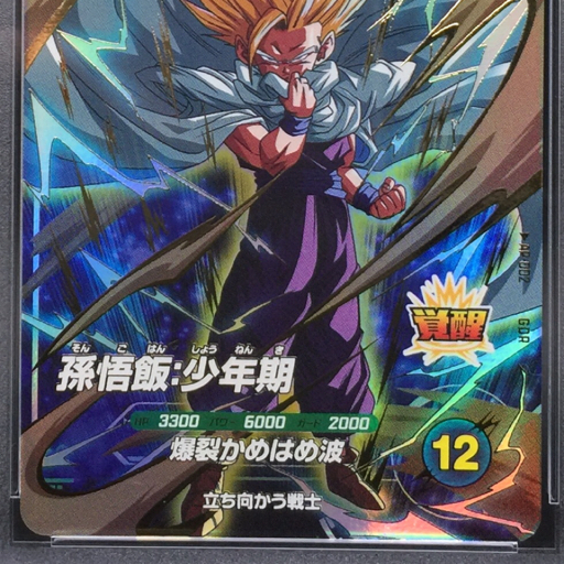 送料360円 1円 美品 PSA鑑定品 PSA10 ドラゴンボール スーパー 送料360円 1円 美品 PSA鑑定品 PSA10 ドラゴンボール スーパー