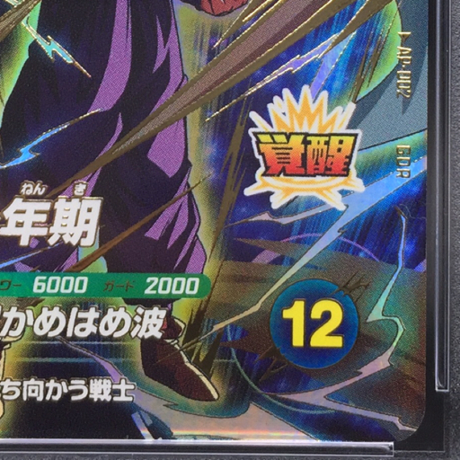 送料360円 1円 美品 PSA鑑定品 PSA10 ドラゴンボール スーパー 送料360円 1円 美品 PSA鑑定品 PSA10 ドラゴンボール スーパー