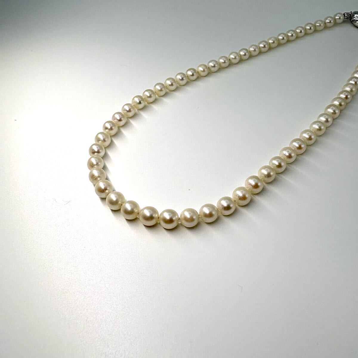 パールネックレス 本真珠 パール ネックレス ホワイト系 SILVER パールネックレス 本真珠 パール ネックレス ホワイト系 SILVER