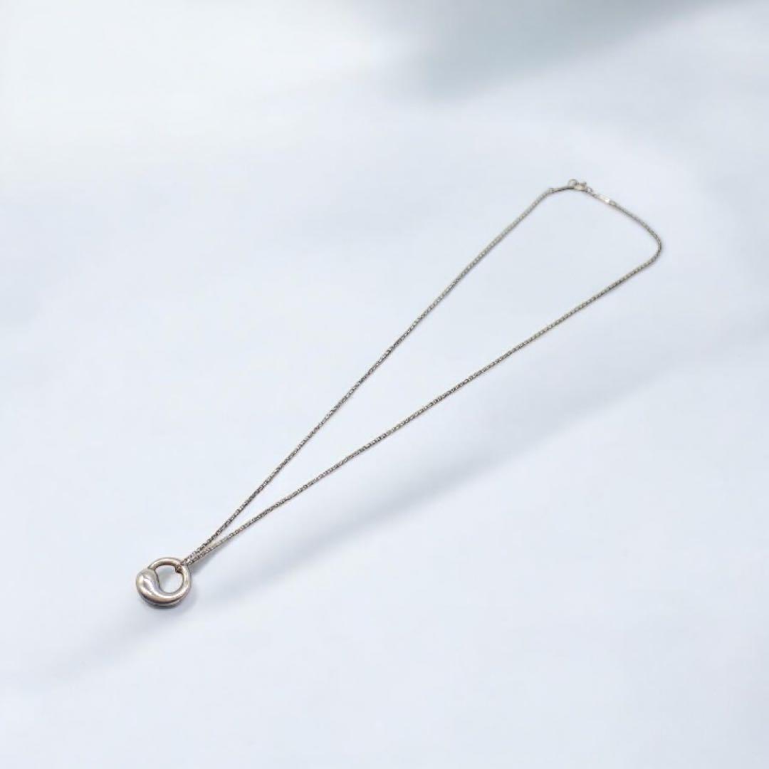 Tiffany & co ティファニー エターナルサークル ネックレス Tiffany & co ティファニー エターナルサークル ネックレス