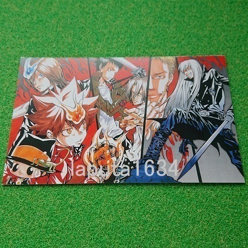 家庭教師ヒットマンREBORN ポストカード 天野明 沢田綱吉 家庭教師ヒットマンREBORN ポストカード 天野明 沢田綱吉