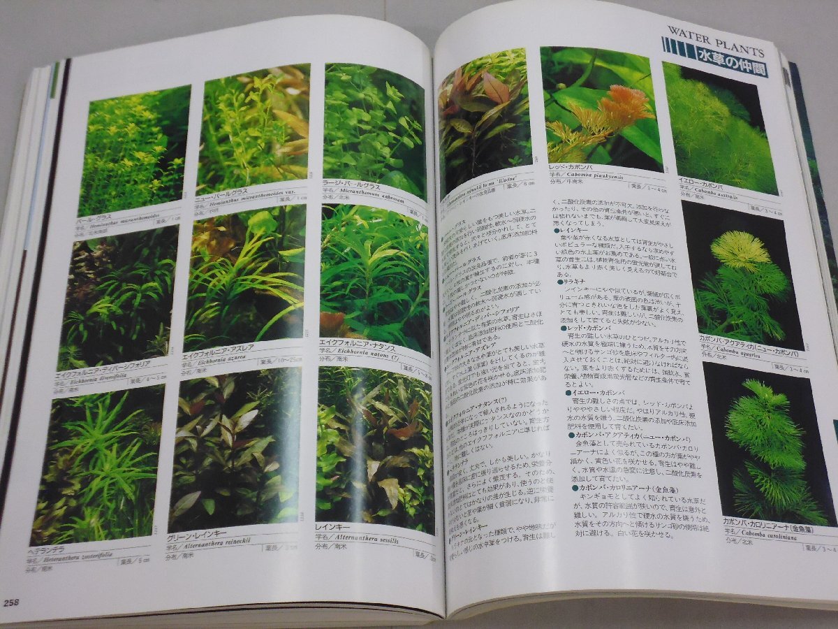 item_image_10