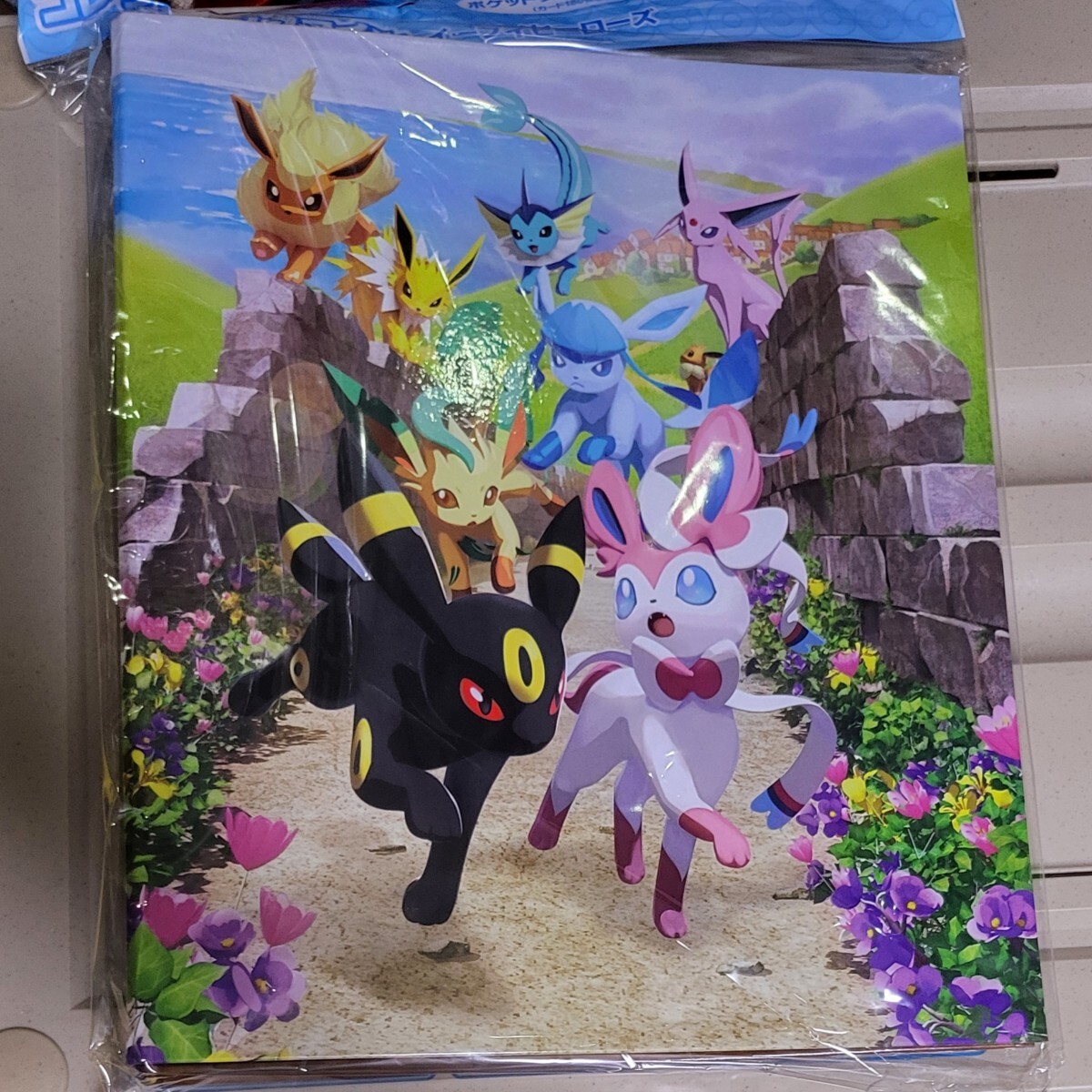 新品未開封 ポケモンカード コレクションファイル 「イーブイ 新品未開封 ポケモンカード コレクションファイル 「イーブイ