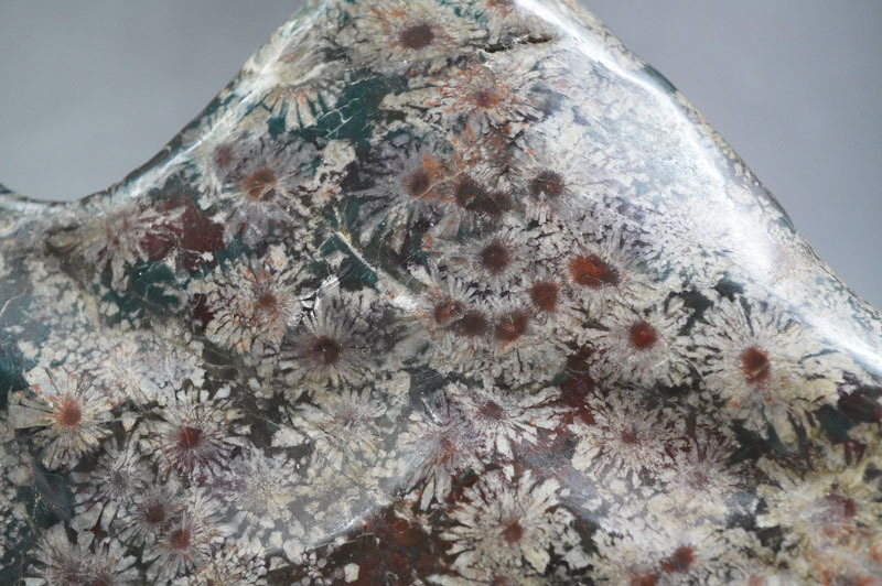 f580】菊花石 重量:2.6kg 木製台座付 鑑賞石 観賞石 天然石 f580】菊花石 重量:2.6kg 木製台座付 鑑賞石 観賞石 天然石