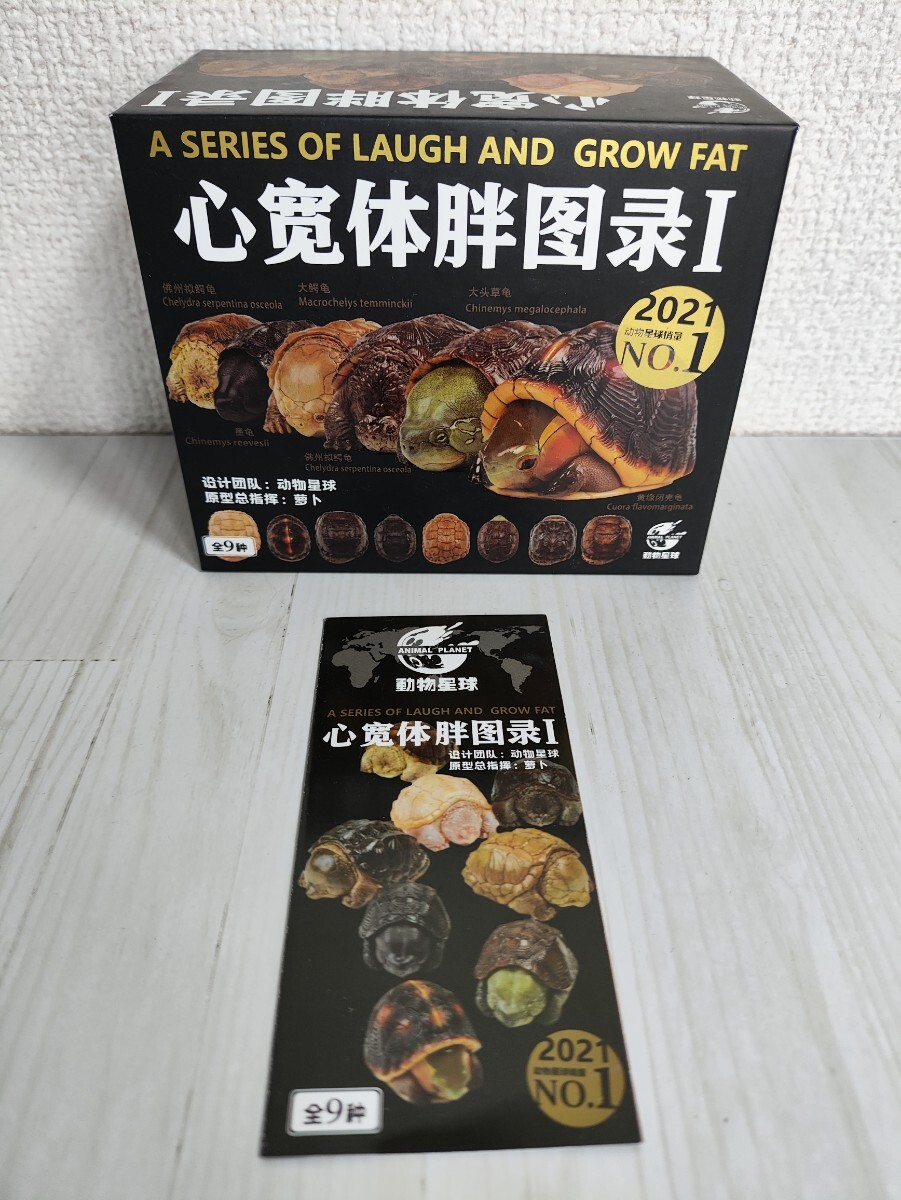 動物の惑星】廃盤品秘蔵品放出 セマルハコガメ レア 入手困難 動物の惑星】廃盤品秘蔵品放出 セマルハコガメ レア 入手困難