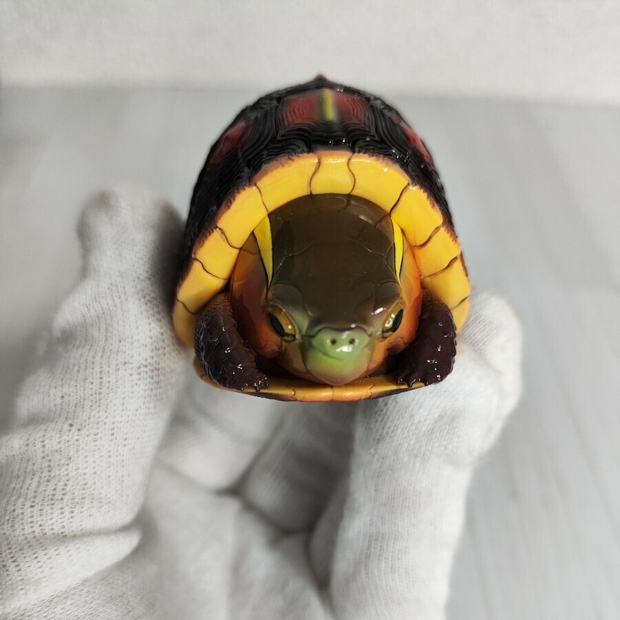 動物の惑星】廃盤品秘蔵品放出 セマルハコガメ レア 入手困難 動物の惑星】廃盤品秘蔵品放出 セマルハコガメ レア 入手困難