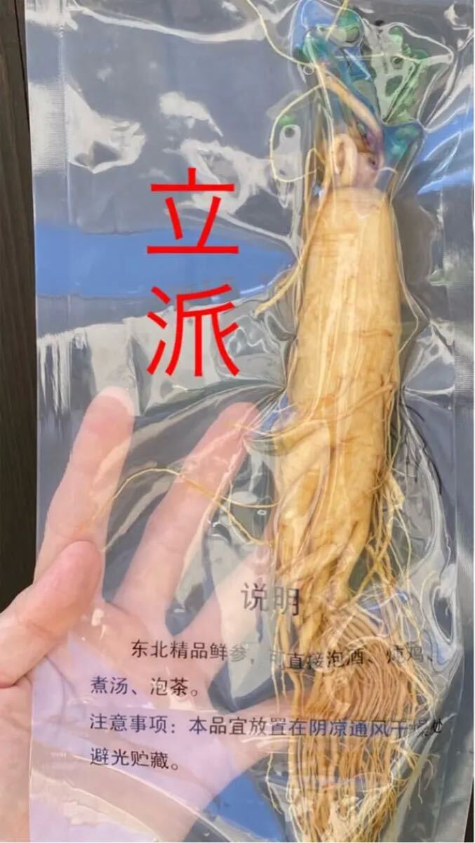 お得な5本セット♪6年根 珍しい人参花付き生朝鮮人参 野生環境 お得な5本セット♪6年根 珍しい人参花付き生朝鮮人参 野生環境