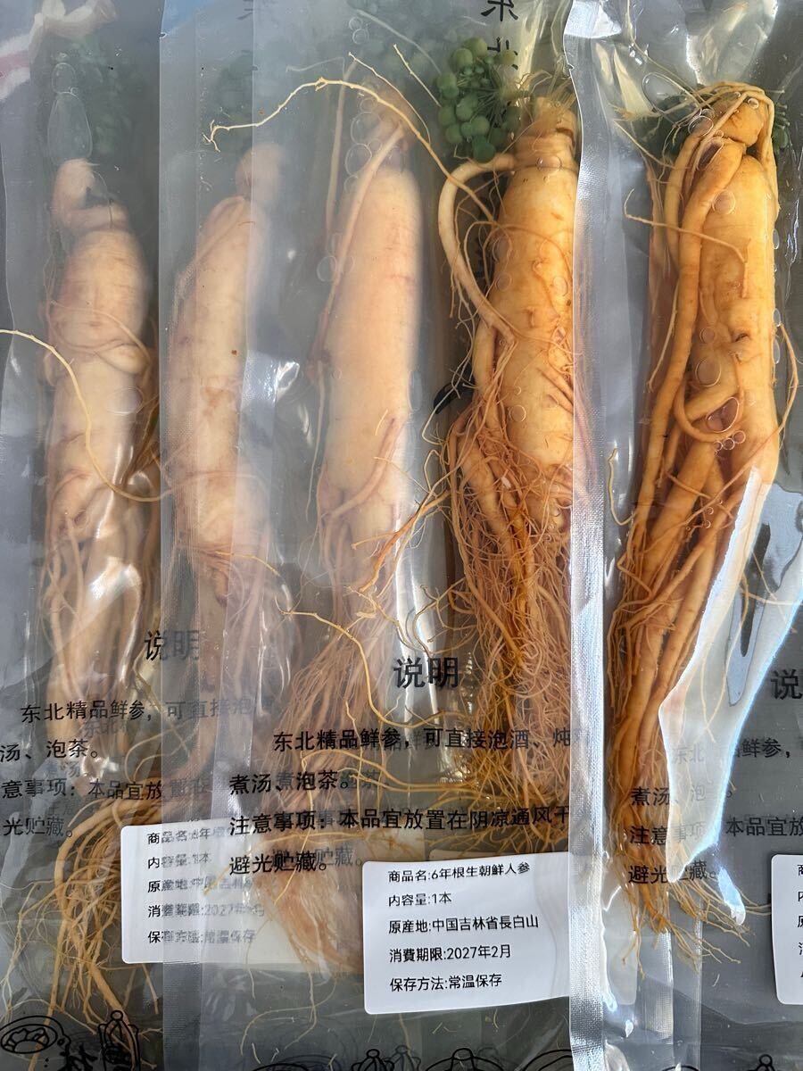 お得な5本セット♪6年根 珍しい人参花付き生朝鮮人参 野生環境 お得な5本セット♪6年根 珍しい人参花付き生朝鮮人参 野生環境