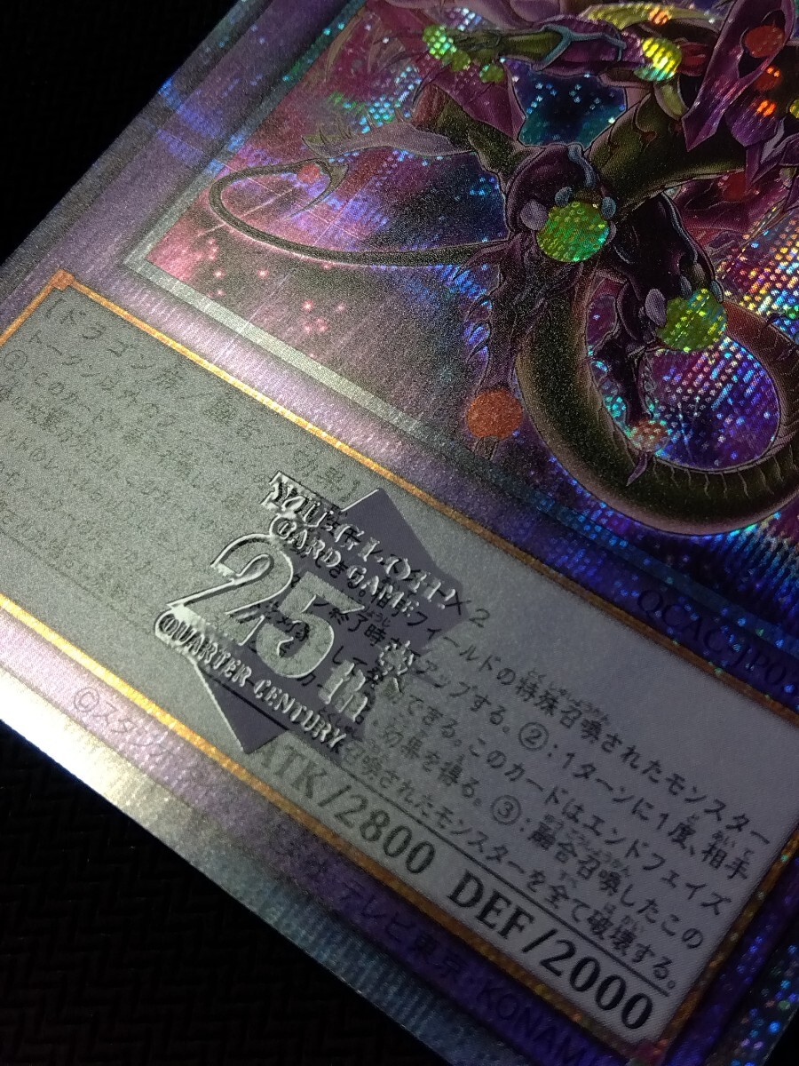 遊戯王☆スターヴ・ヴェノム・フュージョン・ドラゴン(QCAC 遊戯王☆スターヴ・ヴェノム・フュージョン・ドラゴン(QCAC