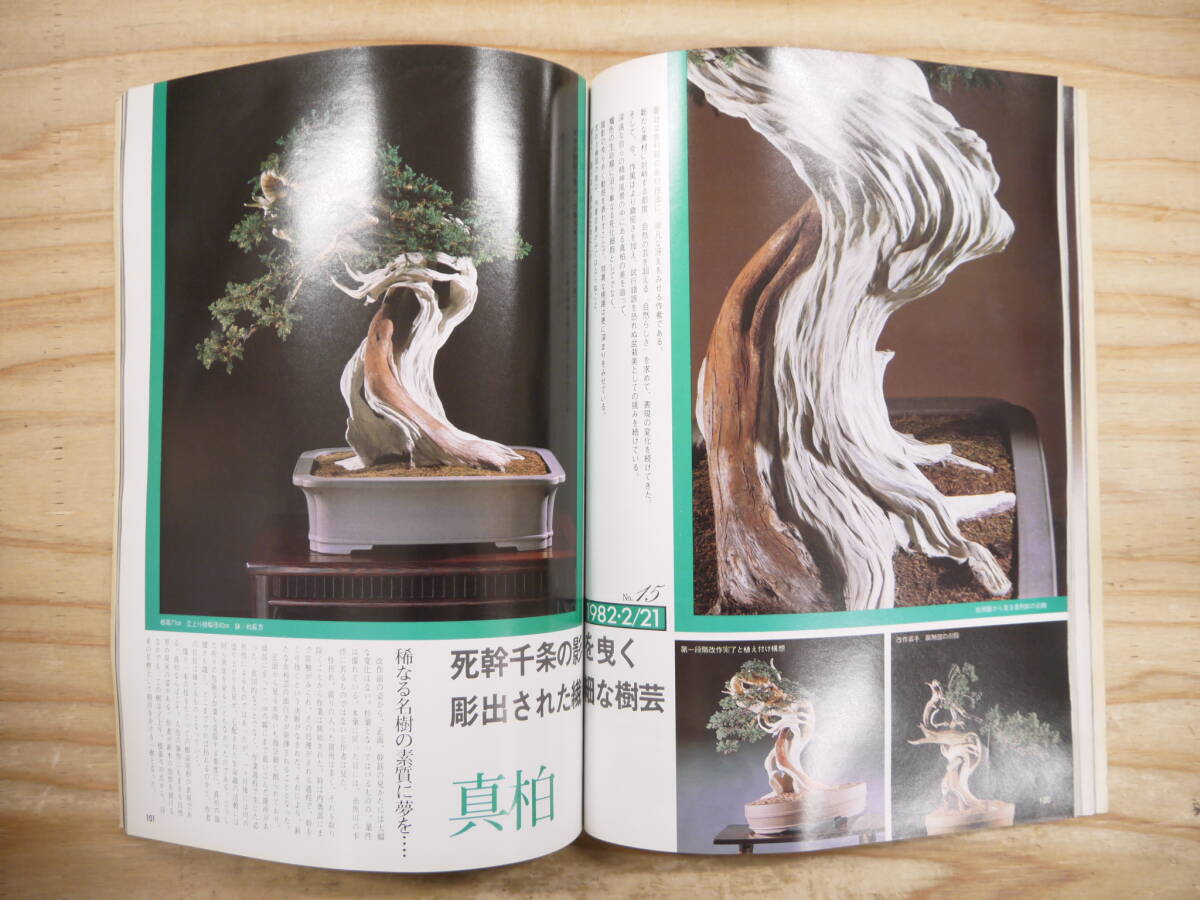 月刊近代盆栽 別冊 『現代盆栽技術の真髄』 〔木村正彦の世界 月刊近代盆栽 別冊 『現代盆栽技術の真髄』 〔木村正彦の世界