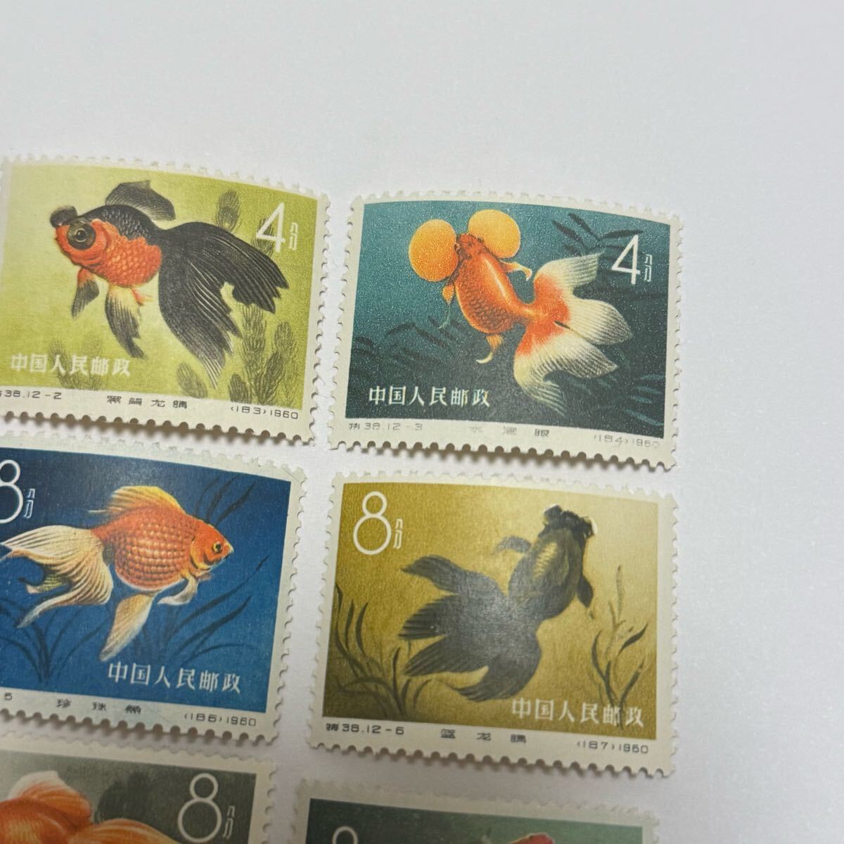 特38 金魚(未使用、12種完) 中国切手 特38 金魚シリーズ 12種完 未使用 ヒンジ跡なし(アジア