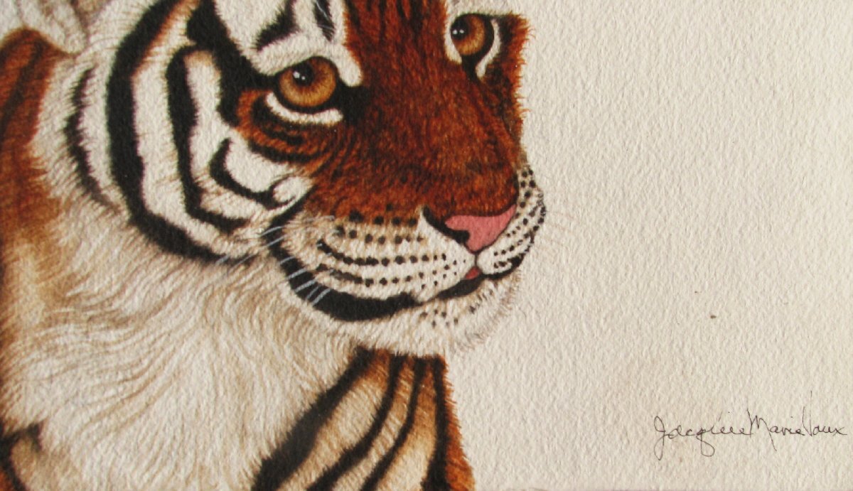 野性動物画の巨匠,ジャッキーマリーヴォーグ「クーガーカブ」3号大,オリジナル作品 野性動物画の巨匠,ジャッキーマリーヴォーグ「クーガーカブ」3号